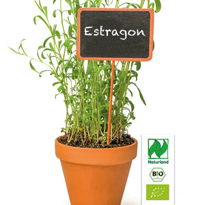 Bio Estragon (Französischer Estragon)