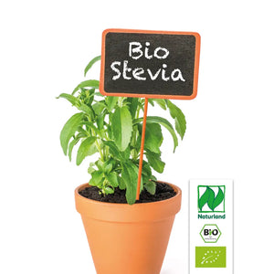 Bio Stevia (Süßkraut)