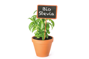 Bio Stevia (Süßkraut)